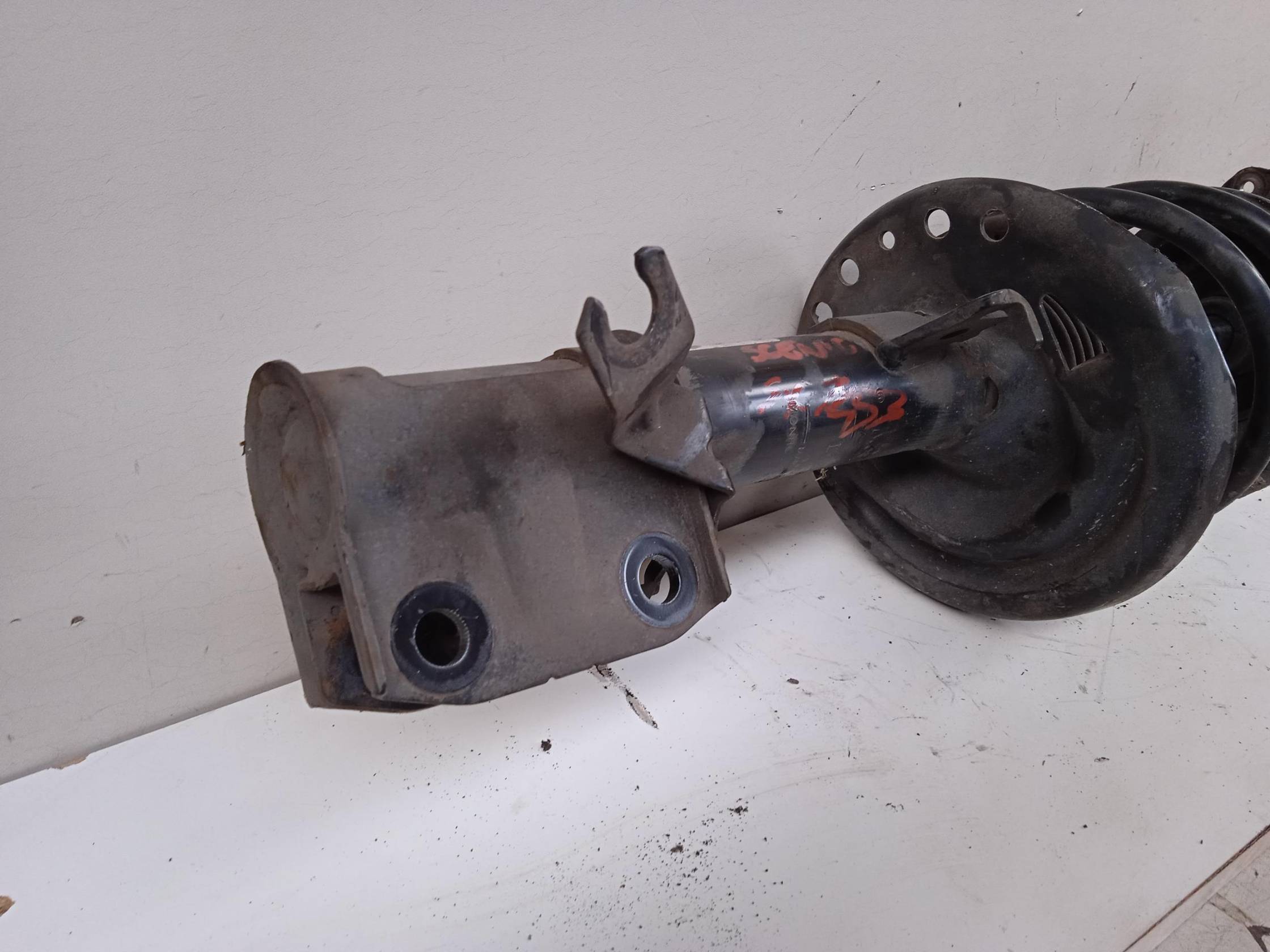 Ammortizzatore ant. sx.